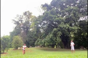 Leia mais sobre o artigo Graça e Ricardo – Sana – Macaé – RJ